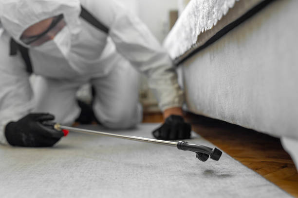 Professional Cockroach Control technician working in Algonquin, IL