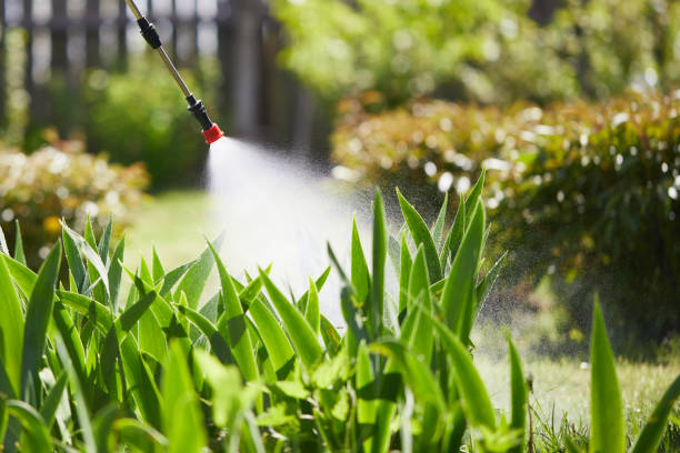 24/7 Emergency Cockroach Control experts in Algonquin, IL