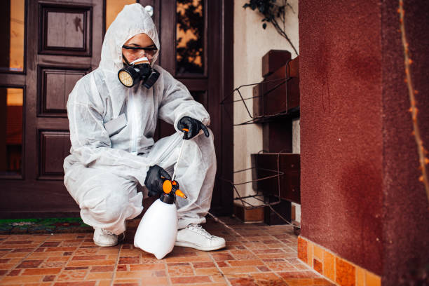 Reliable Cockroach Control contractor in Algonquin, IL by Nex Pest Control