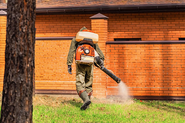 Top rated local Cockroach Control specialists in Algonquin, IL